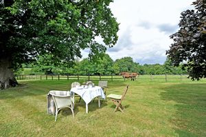 Photo 3- click for photo gallery